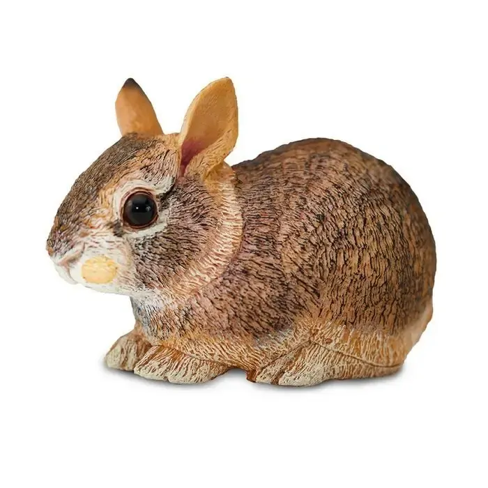 Safari Rabbit Baby First Order Safari Ltd Eastern Cottontail Rabbit Baby Incredib