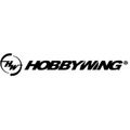 Hobbywing brand