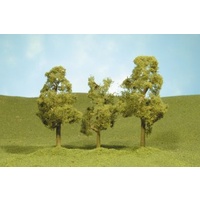 Bachmann 3 4 Sycamore Trees (3)