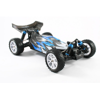 FTX Vantage 1/10 4WD Brushed Ready To Run Buggies - FTX-5528