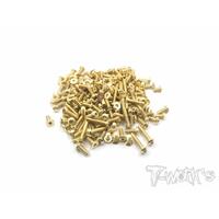 TWORKS Gold Plated Steel Screw Set 118pcs. ( For Xray XB2D 2020 & 21 ) - GSS-XB2D20