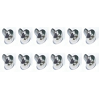 CROSS RECESSED FLANGE HEAD SELF TAPPING SCREWS (PWTH03*10MM)
