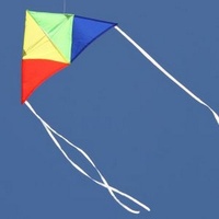 Toys Kite Windspeed Junior Delta Kite