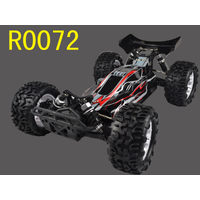 BUGGSTER 1/10 scale brushed RTR, Wall Charger, 2.4GHz radio, alum shocks, R0072,R0073 assorted