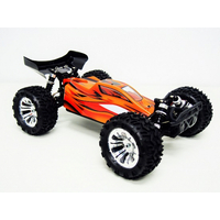 BUGGSTER 1/10 scale Brushless RTR