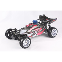 Painted GP Buggy body 1pc
