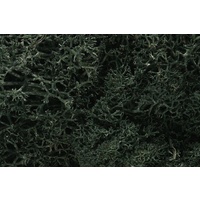 Woodland Scenics Dark Green Lichen