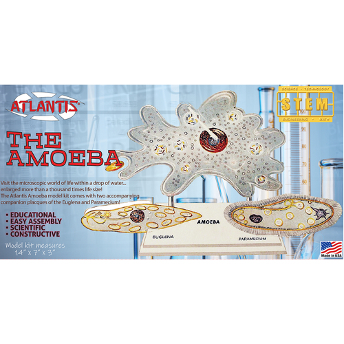 Atlantis Amoeba Single Cell Model Kit STEM Plastic Model Kit