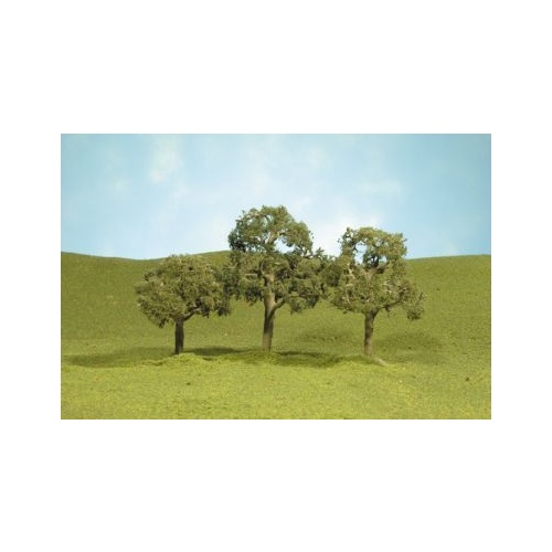 Bachmann 2½ 3½ Walnut Trees (3)