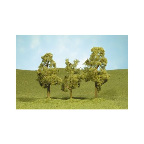 Bachmann 2½ 2 Sycamore Trees (4)