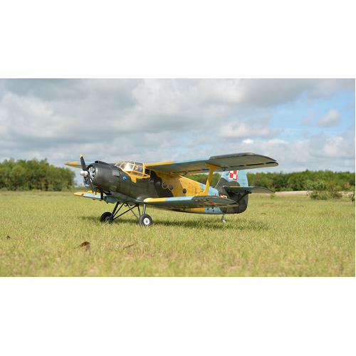 Antonov An-2 30-35CC Gas 2,425mm - BH-186