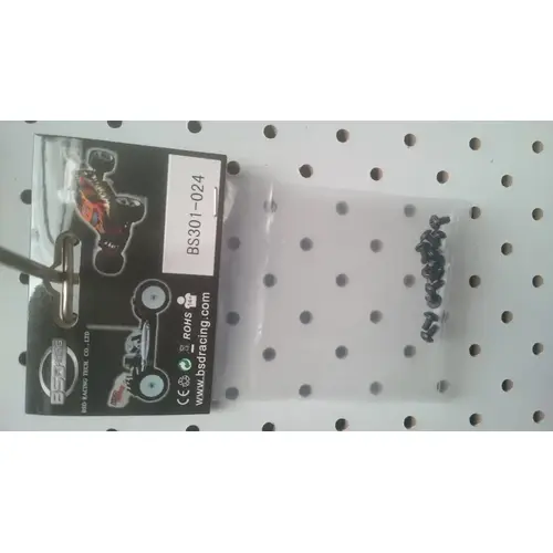 BSD PWB2.5*5.7*5.5 SCREW 12PCS - BS301-024