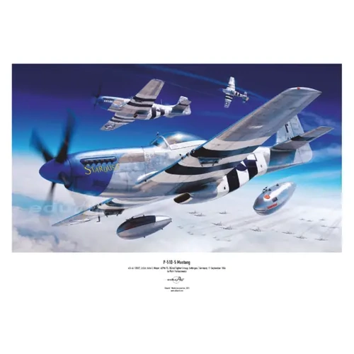 Eduard 84172 1/48 P-51D-5 Plastic Model Kit