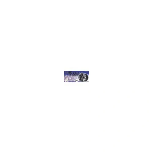 Fujimi 1/24 RS Watanabe & Slick Tire 15inch (Wheel-15) Plastic Model Kit