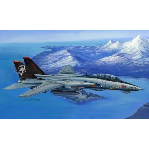 Hobbyboss 1:48 F-14D Super Tomcat