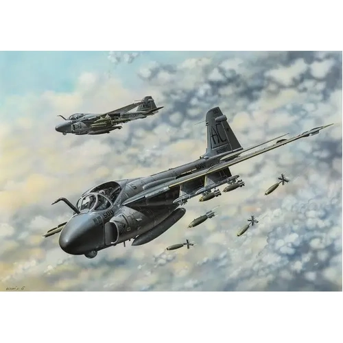Hobbyboss 1:48 A-6E Tram Intruder
