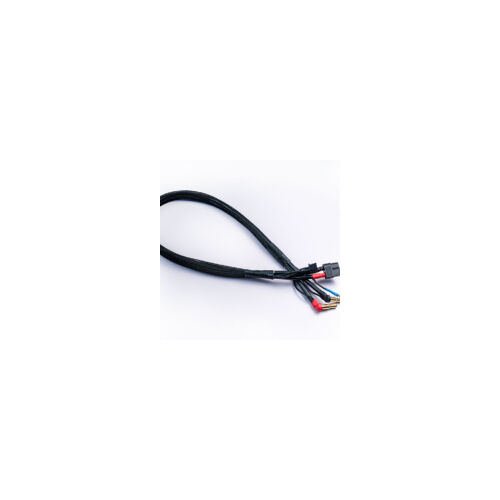 2S Charge/Balance Cable Lead 12AWG 500mm XH XT60 to 4/5mm Bullet Connector