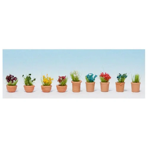 Flowers In Small Pots