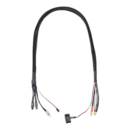 RCD 2S 50A Synchronous Charge Cable (XT60 & 5mm) with Temperature Sensor - 32" (80cm)
