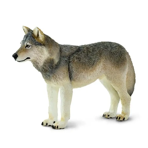 Safari Ltd Grey Wolf