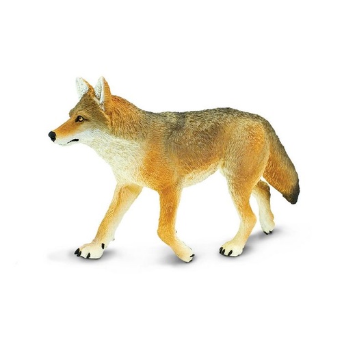 Safari Ltd Coyote Wildlife Wonders