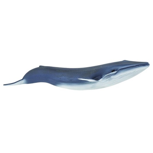 Safari Ltd Blue Whale Wild Safari Sea Life
