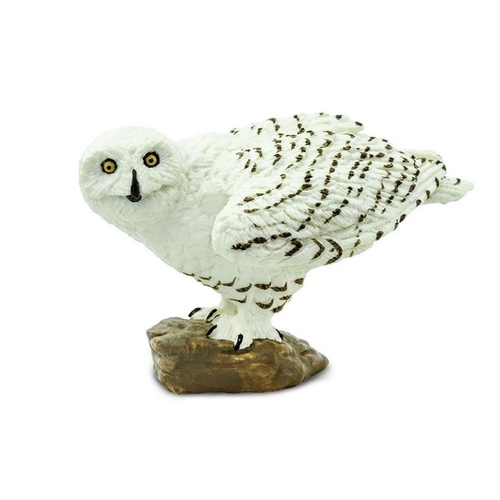 Safari Ltd Snowy Owl Wings Of The World