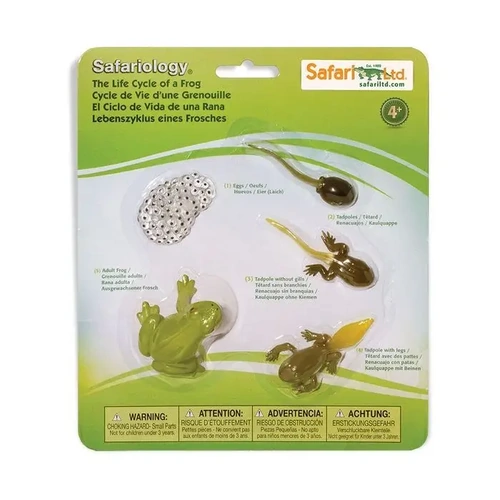 Safari Ltd Life Cycle Of A Frog Safariology