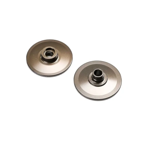 TLR Slipper Plates, 22X
