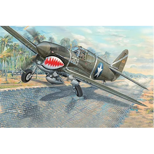Trumpeter 03227 1/32 P-40F Warhawk Plastic Model Kit