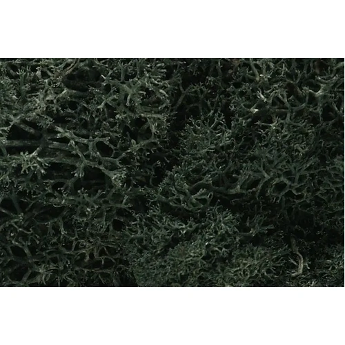 Woodland Scenics Dark Green Lichen