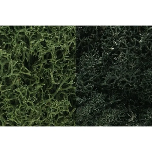 Woodland Scenics Dark Green Mix Lichen