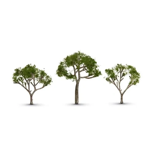 Woodland Scenics 2 1/2 - 3 1/2 Gum Tree (3)