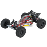 RTR 2WD Electric Buggy