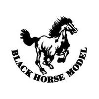 Black Horse Models